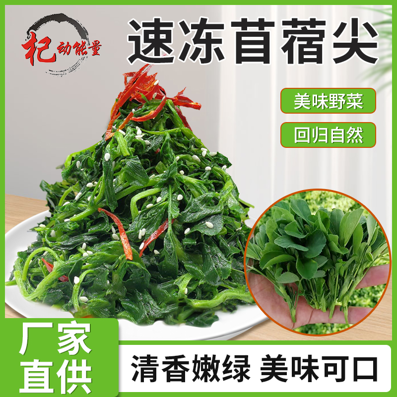 速凍苜蓿尖