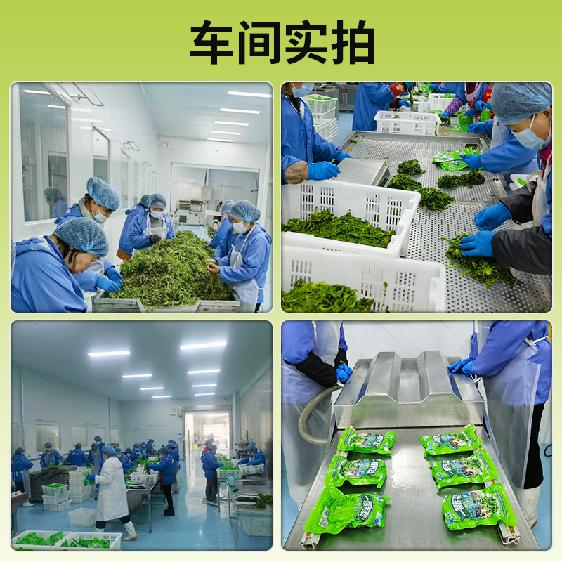 薺菜3.jpg