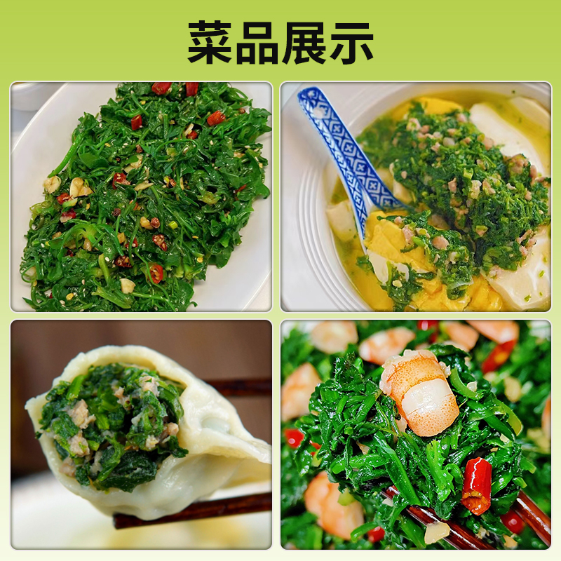 薺菜4.jpg
