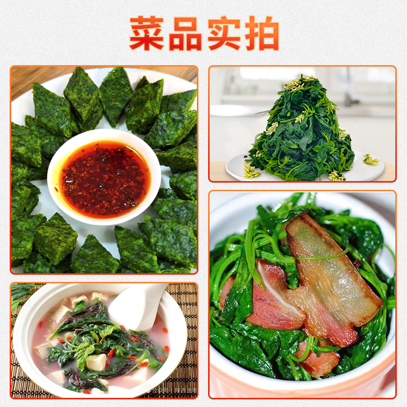 灰灰菜4.jpg