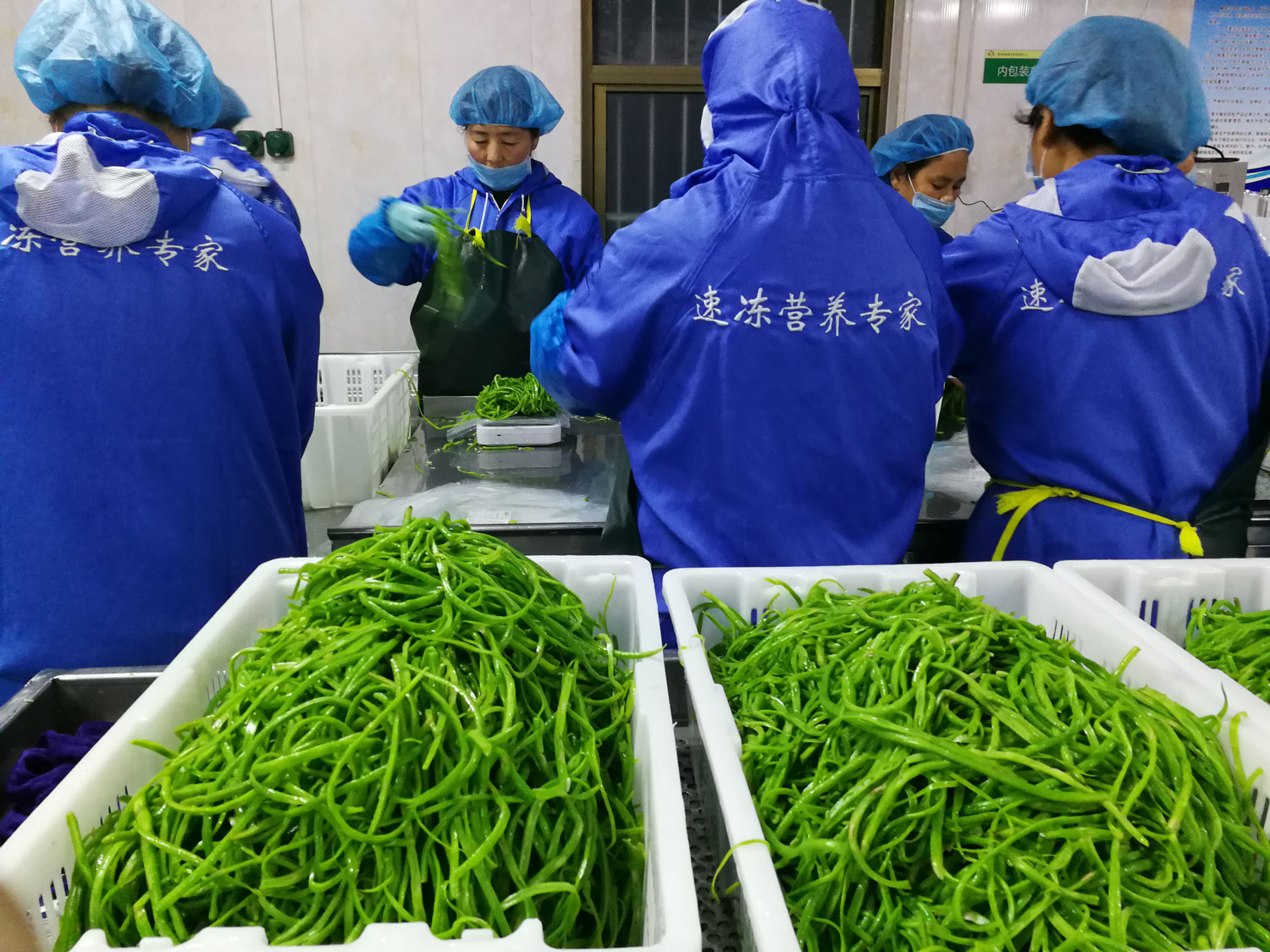 公司風(fēng)采