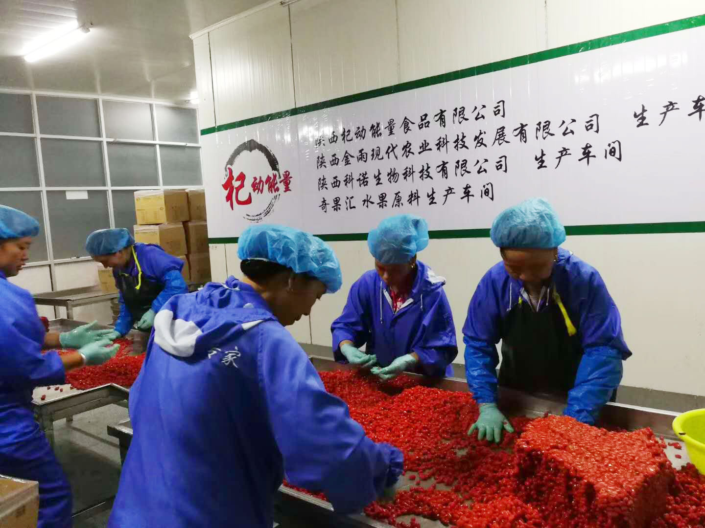 公司風(fēng)采