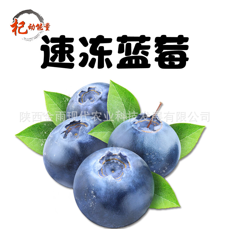 速凍藍莓